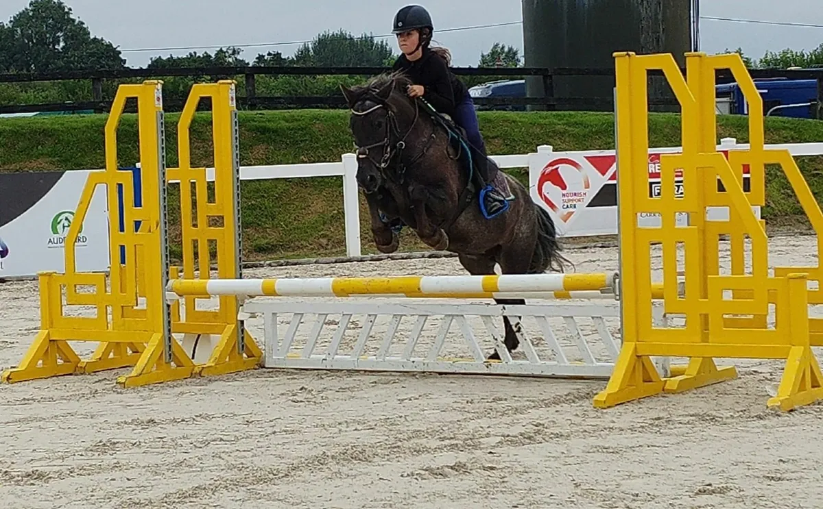 Super 12.2 pony 7yr old - Image 1