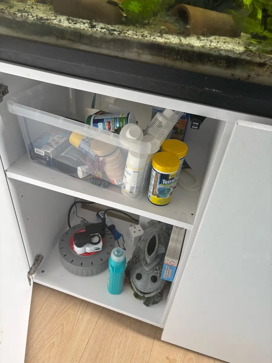 Fish tank+stand and stock - Image 3