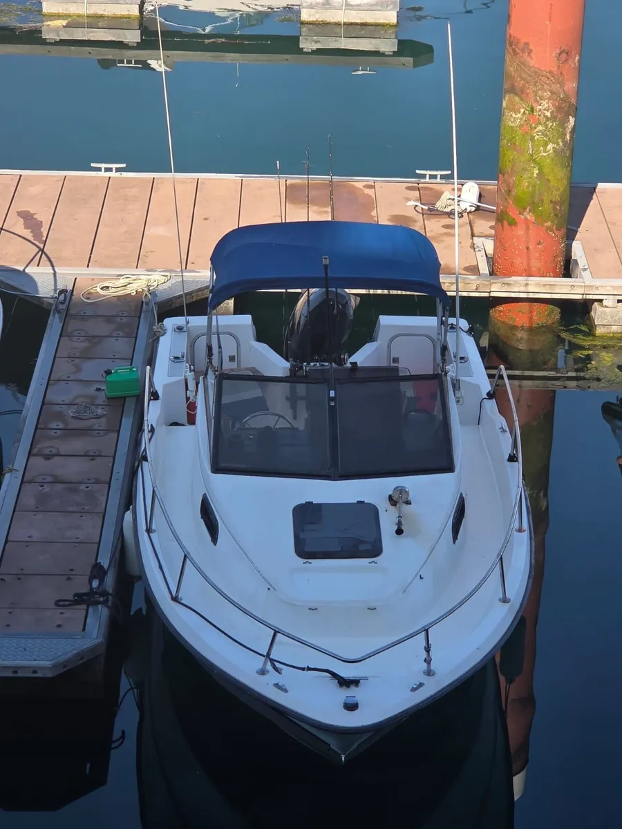Bayliner trophy walk around - Image 2