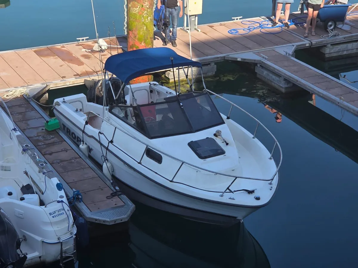 Bayliner trophy walk around - Image 3