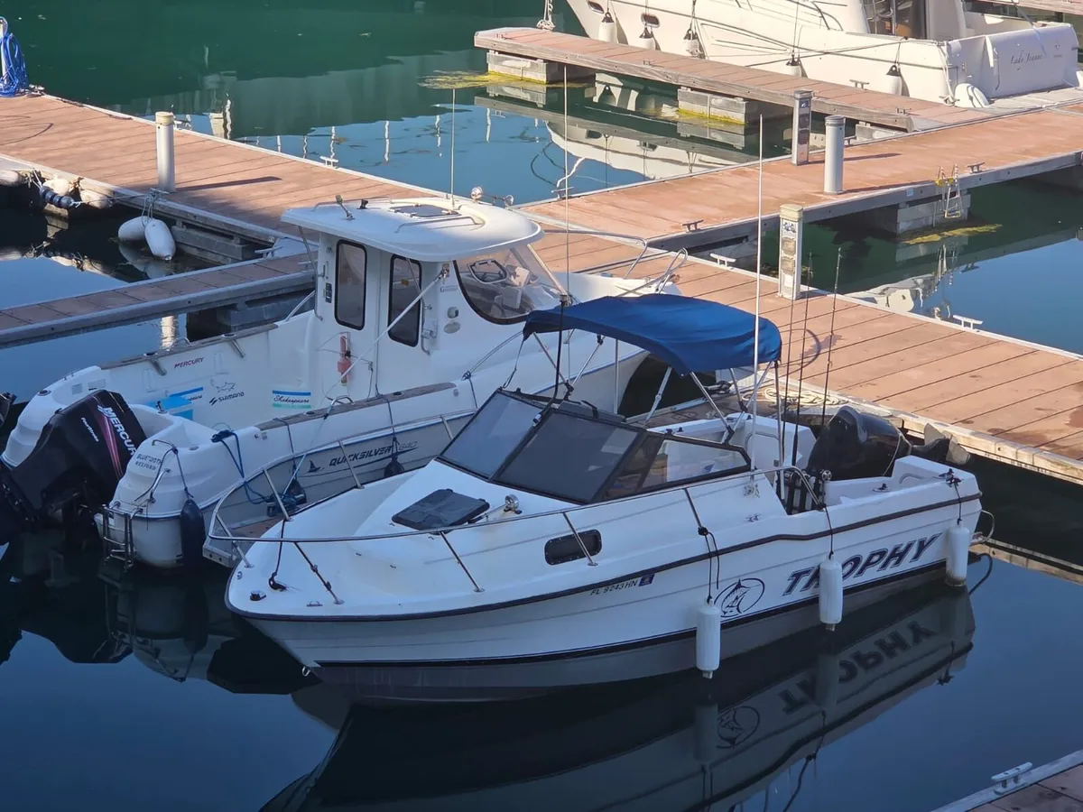 Bayliner trophy walk around - Image 4