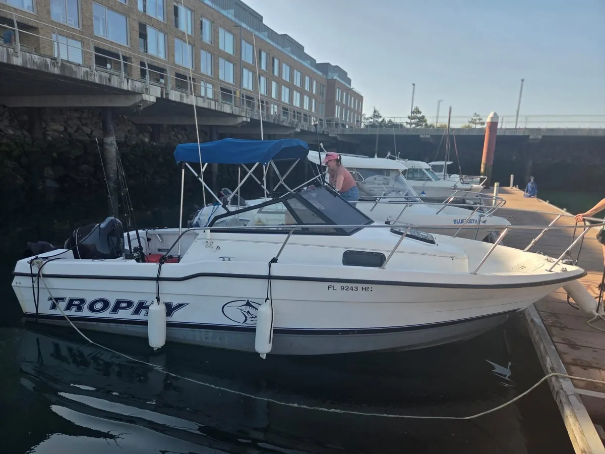 Bayliner trophy walk around - Image 1