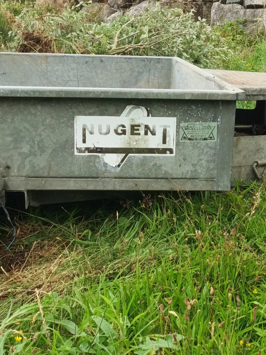 Trailer - Image 2