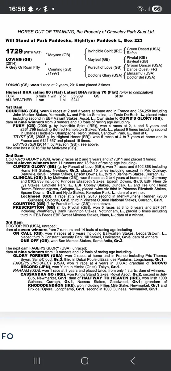 2 well bred T.B flat broodmares - Image 2