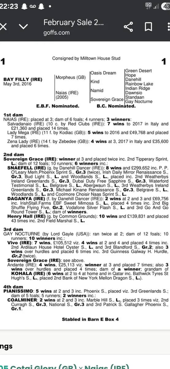 2 well bred T.B flat broodmares - Image 3