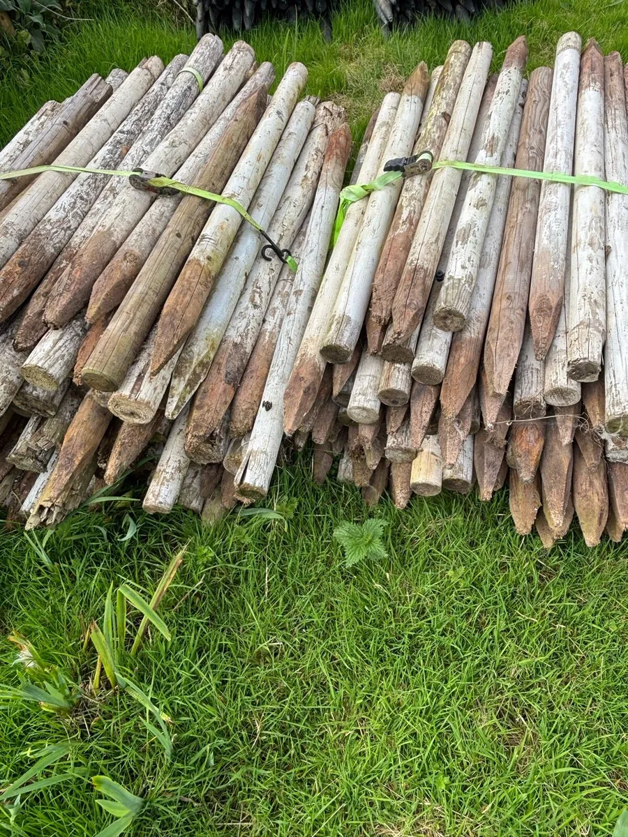 4ft stakes Plastic Barrels - Image 2
