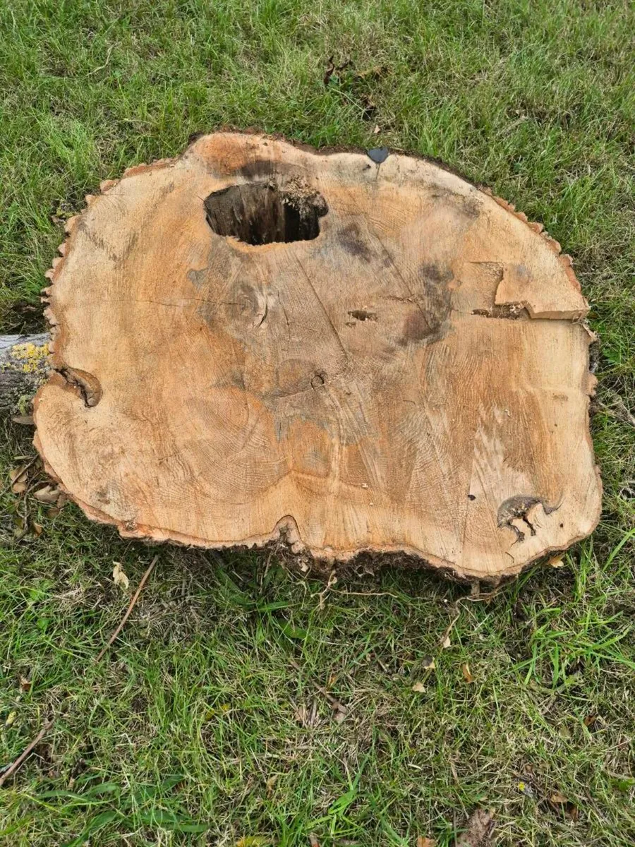 Oak wood for table top - Image 1