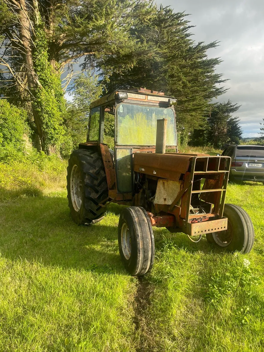 International 784 - Image 3