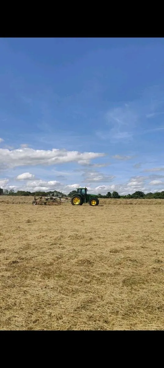 Hay - Image 4