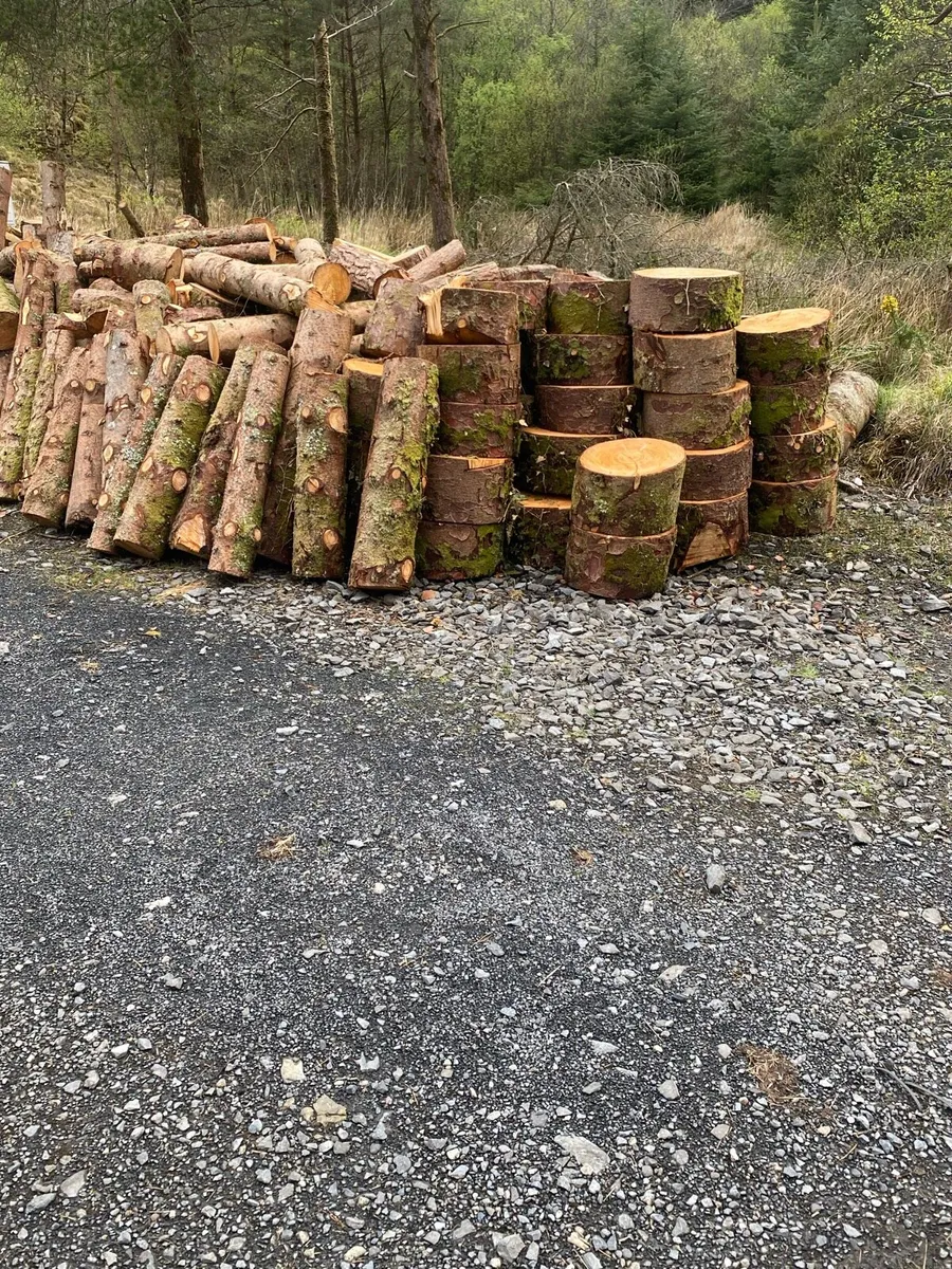 Fire wood - Image 1