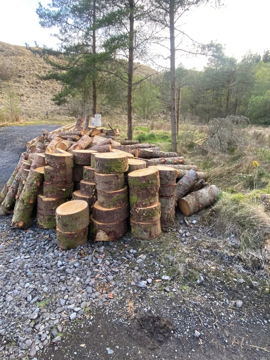 Fire wood - Image 2