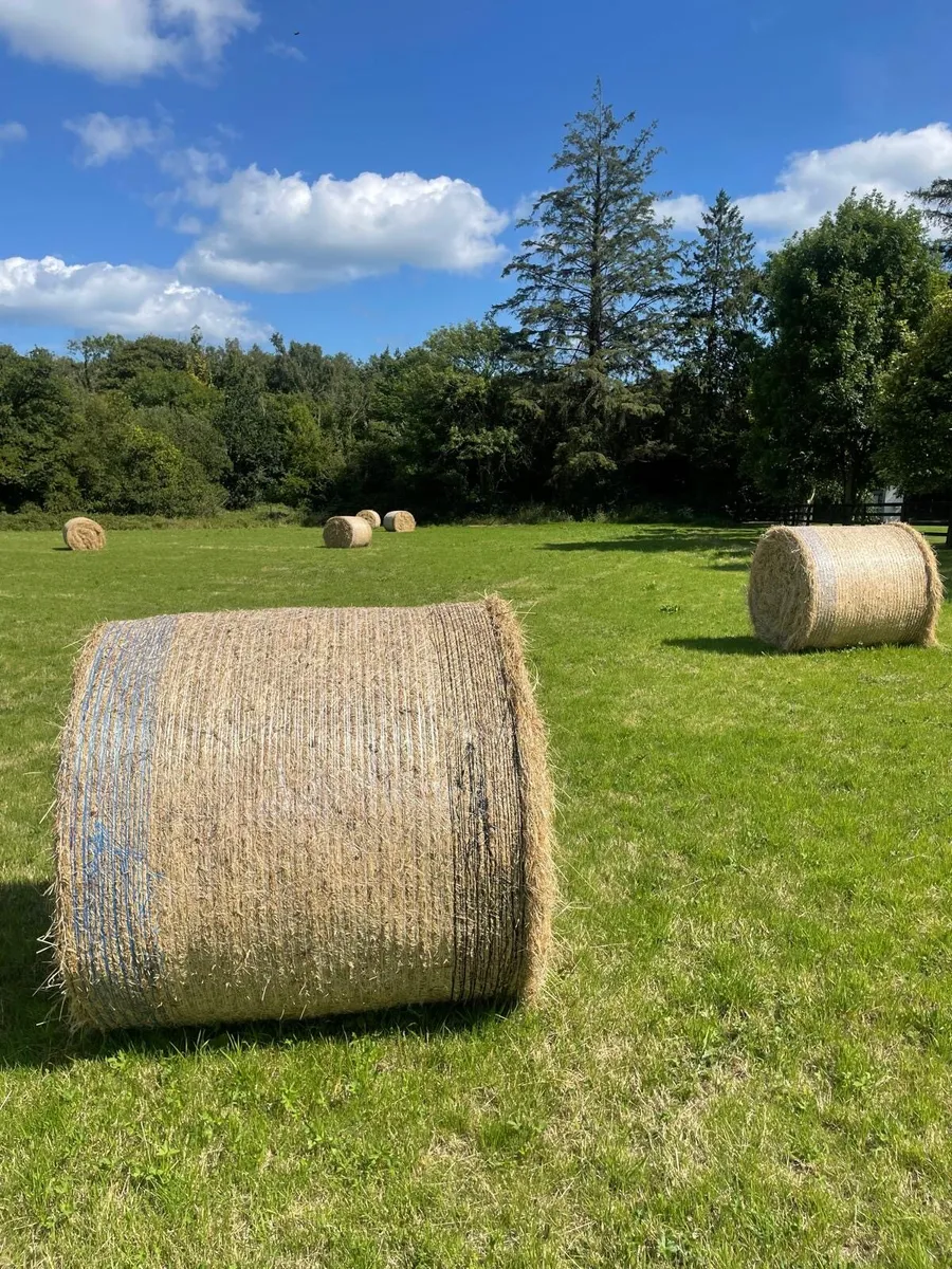 Bales of Hay - Image 2