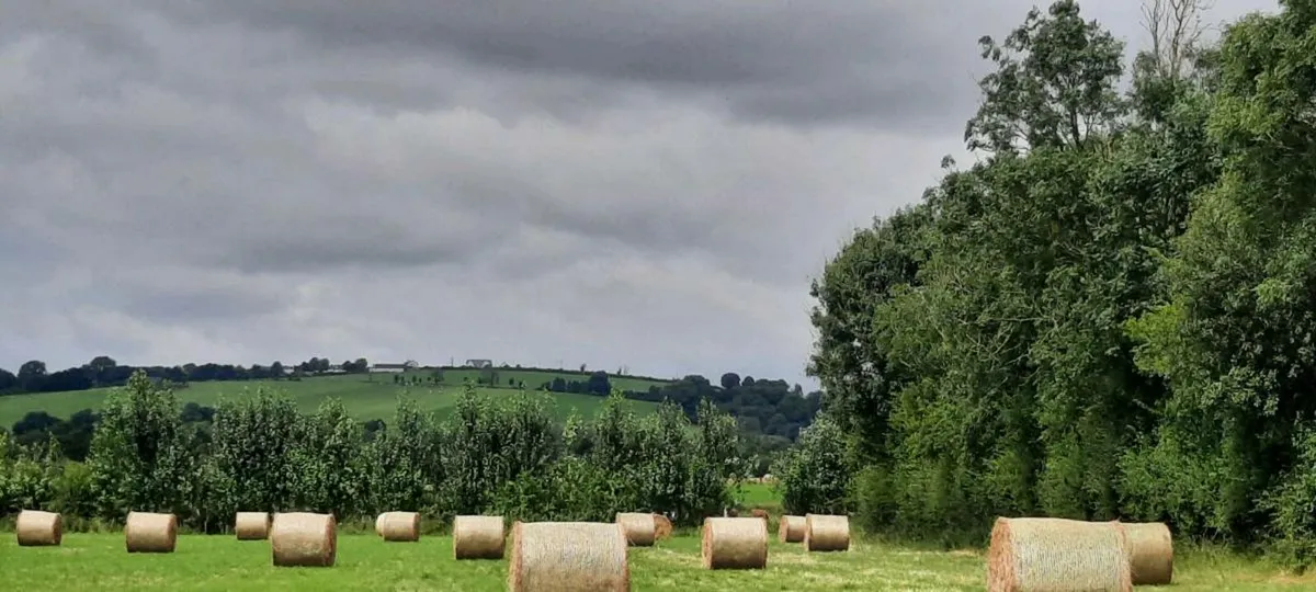 Bales of Hay - Image 1