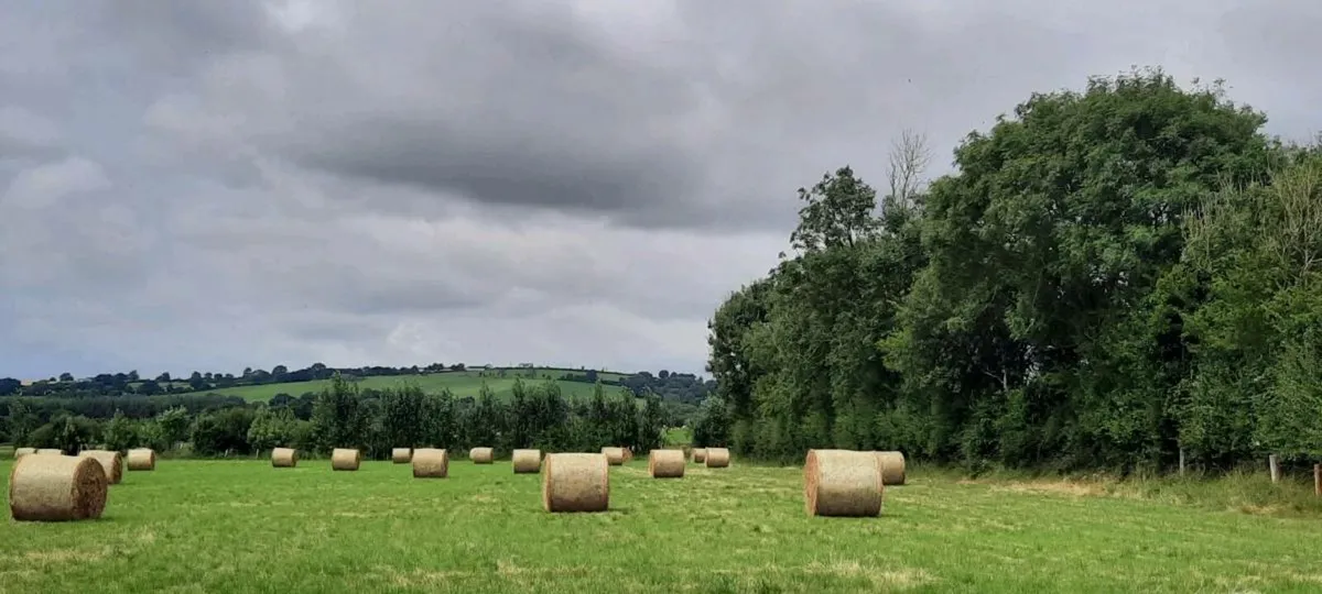 Bales of Hay - Image 2