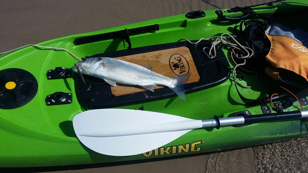 Fishing Kayak - Image 3