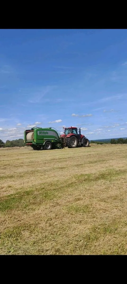 Hay - Image 2