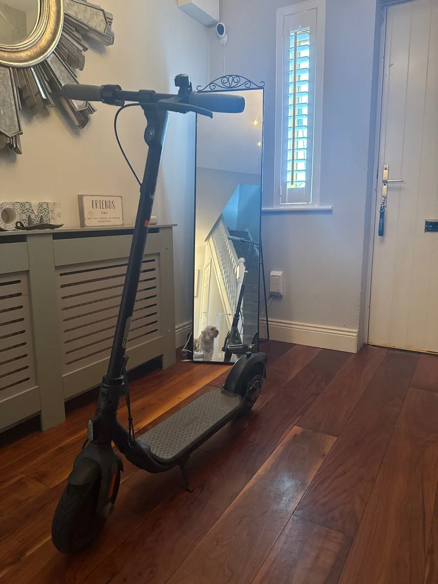 Ninebot Scooter - Image 2