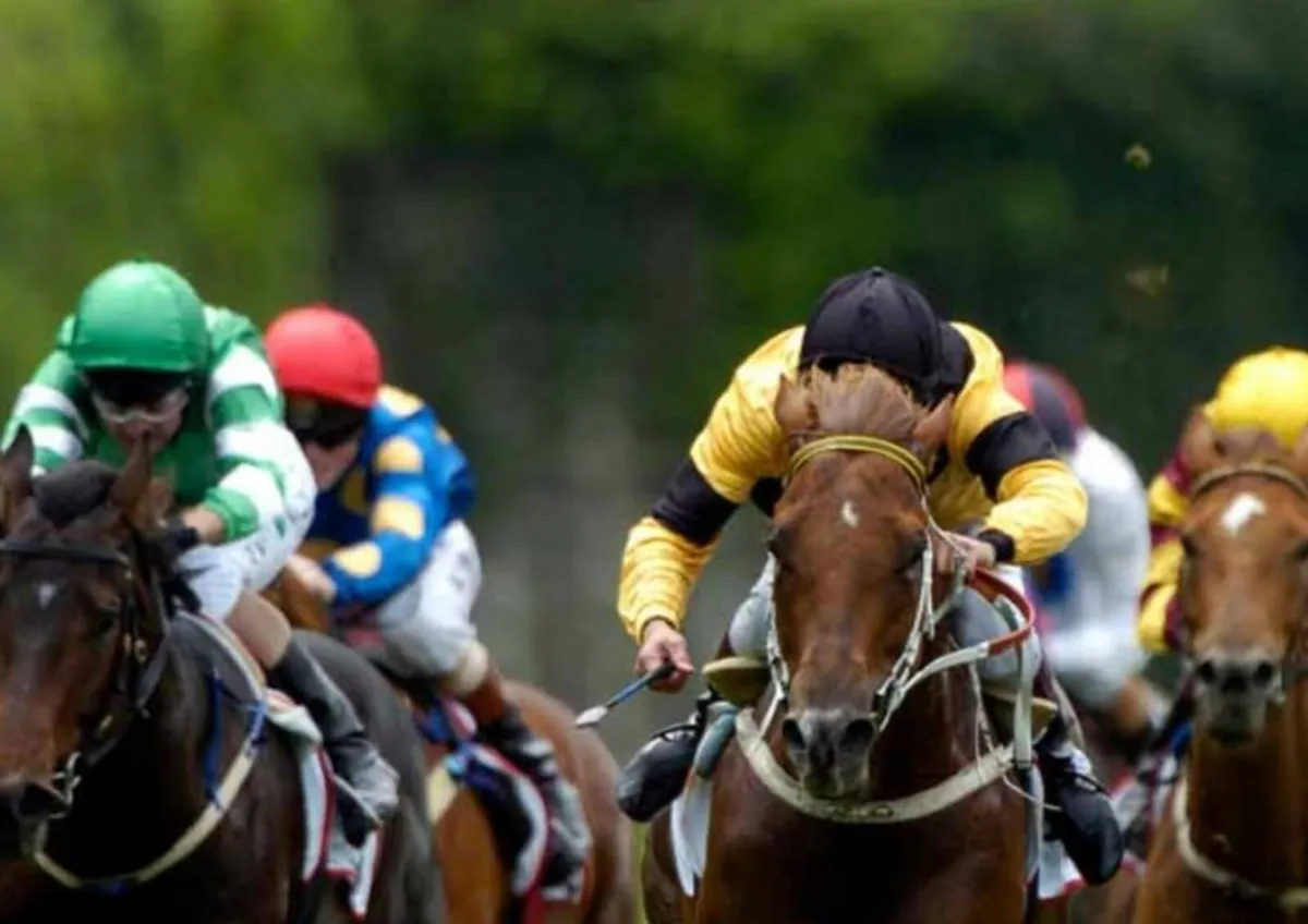 Galway races .1 bedroom studio