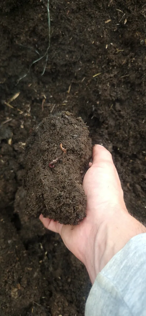 Horse Compost - Gardening - Greenhouse - Image 1
