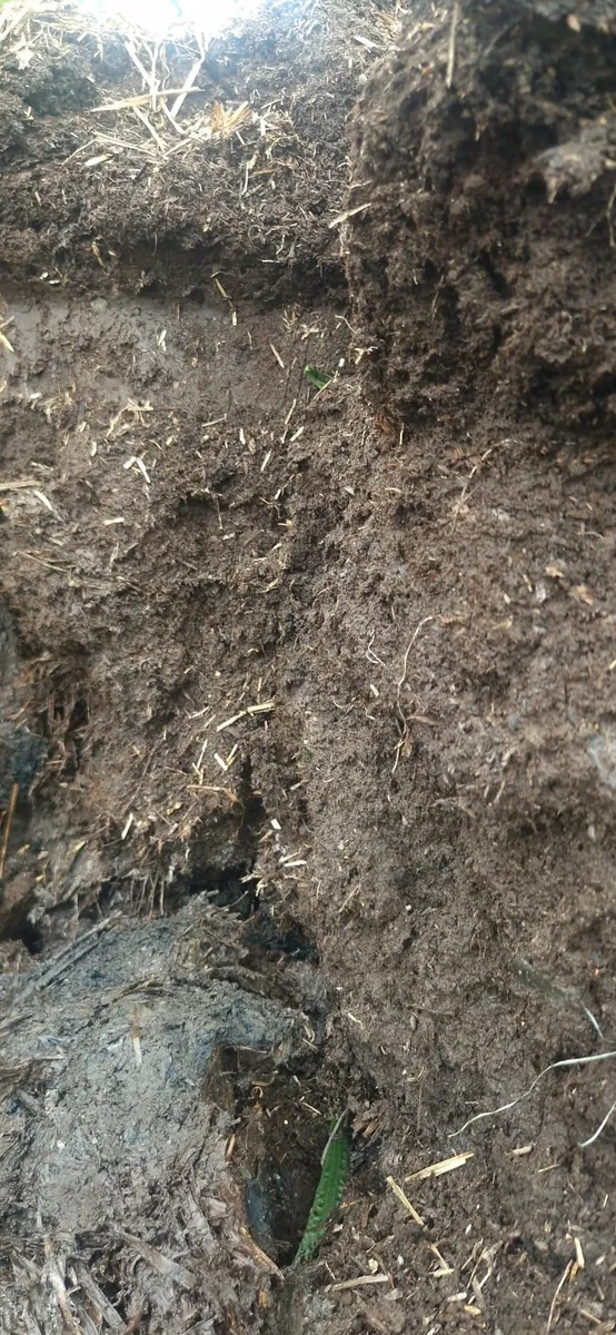 Horse Compost - Gardening - Greenhouse - Image 3