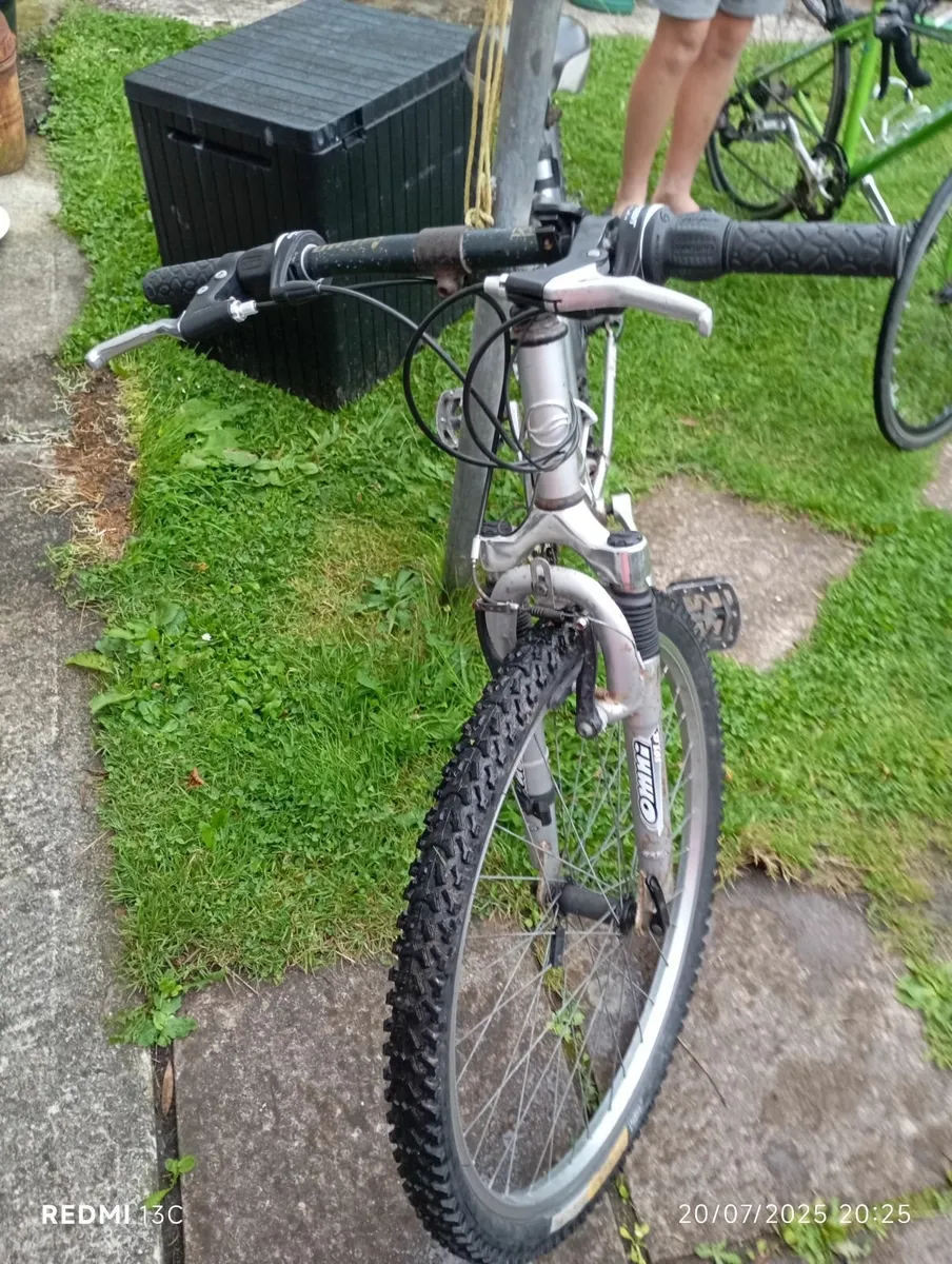 Giant diadora bike - Image 2