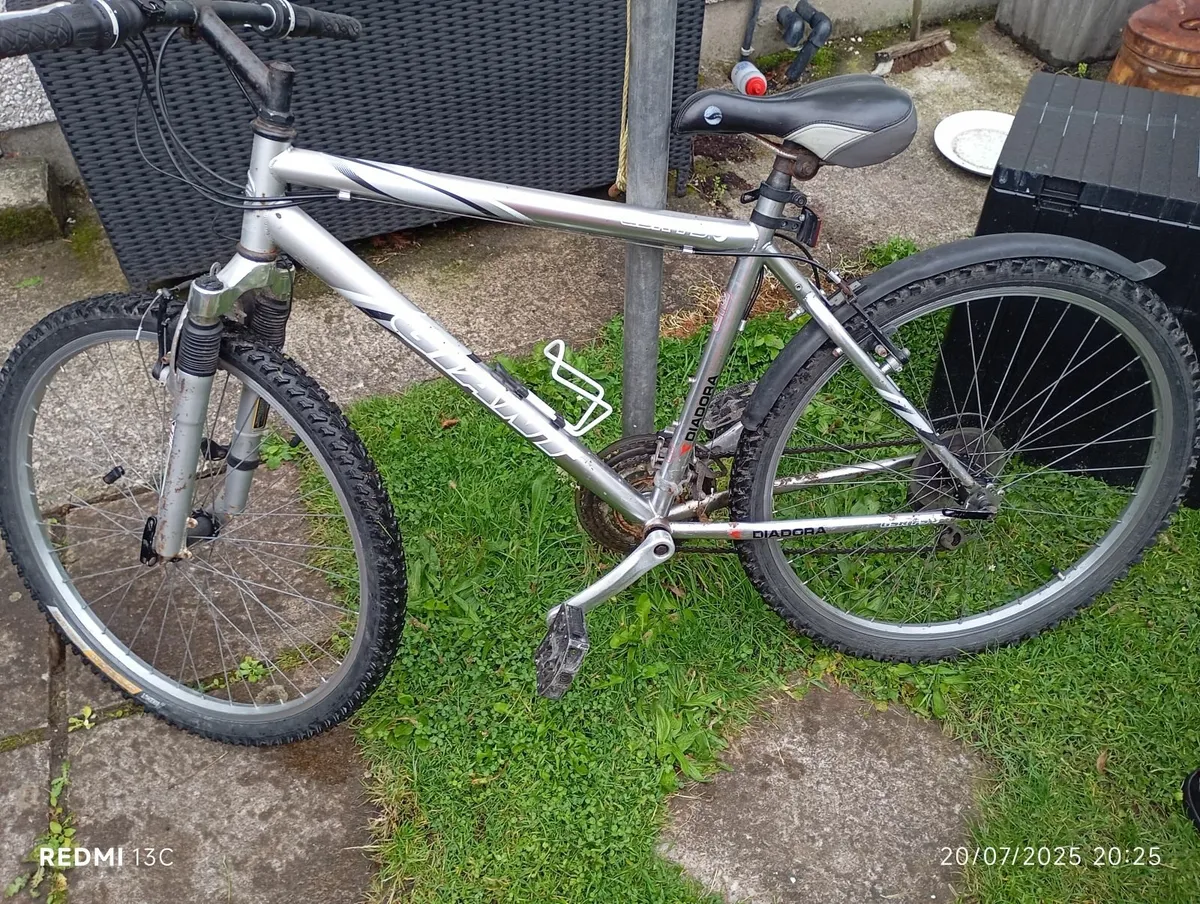 Giant diadora bike - Image 1