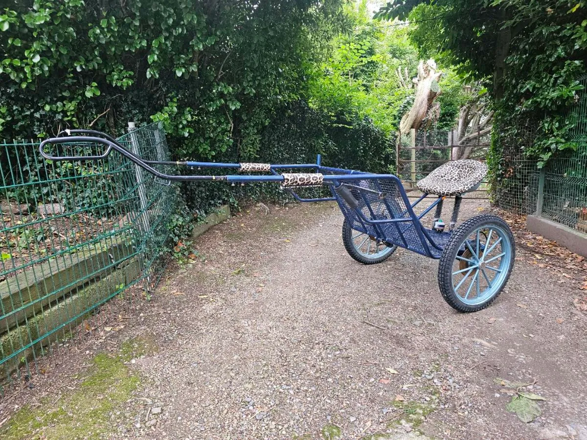 Two Wheel Training Vehicle - Image 1