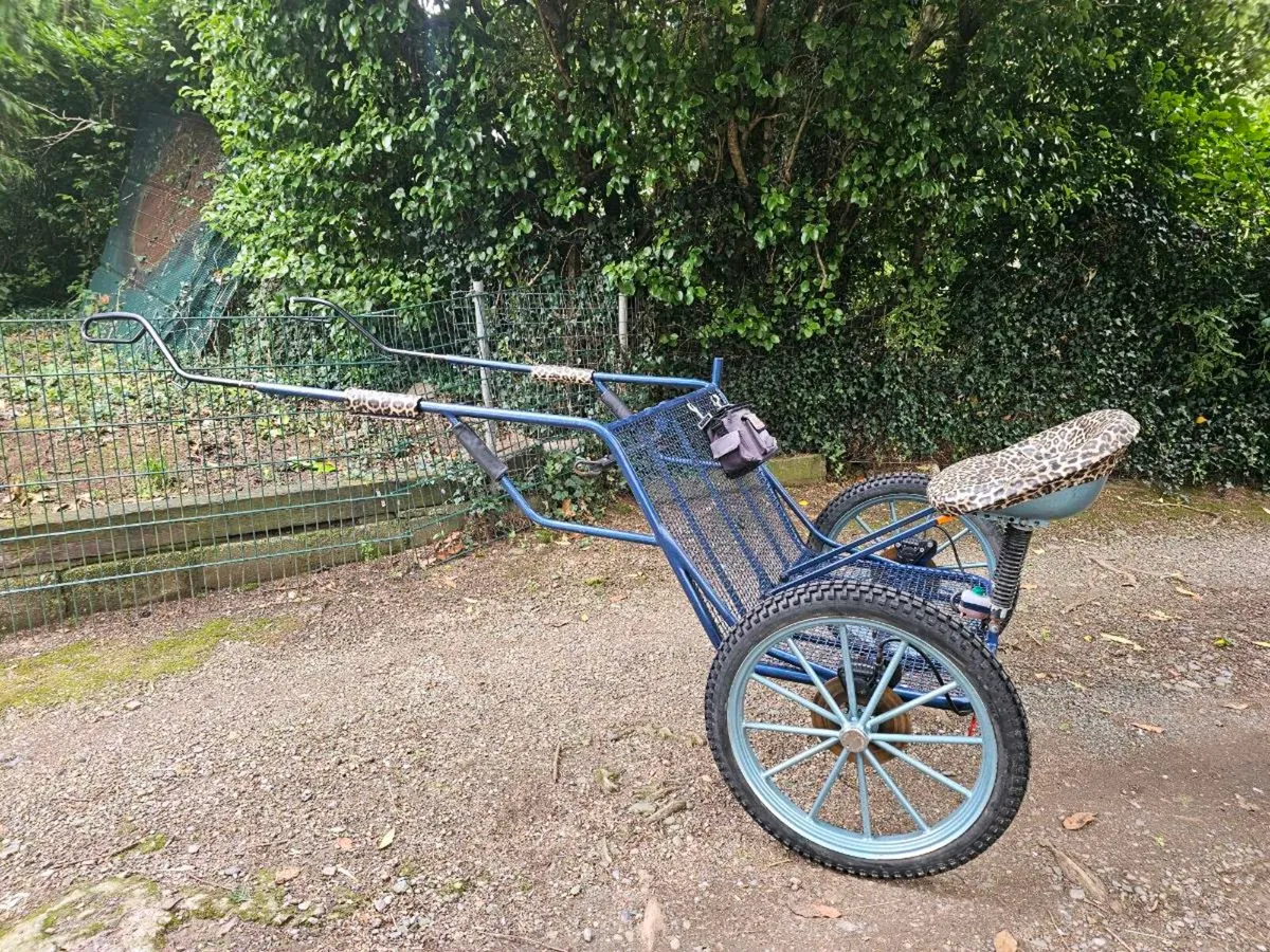 Two Wheel Training Vehicle - Image 2