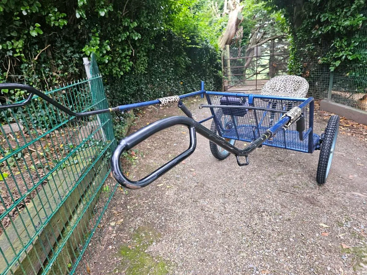 Two Wheel Training Vehicle - Image 3