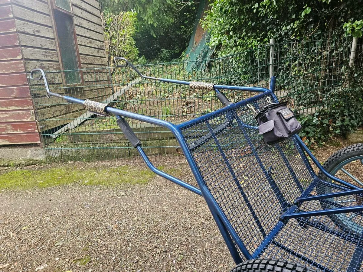 Two Wheel Training Vehicle - Image 4