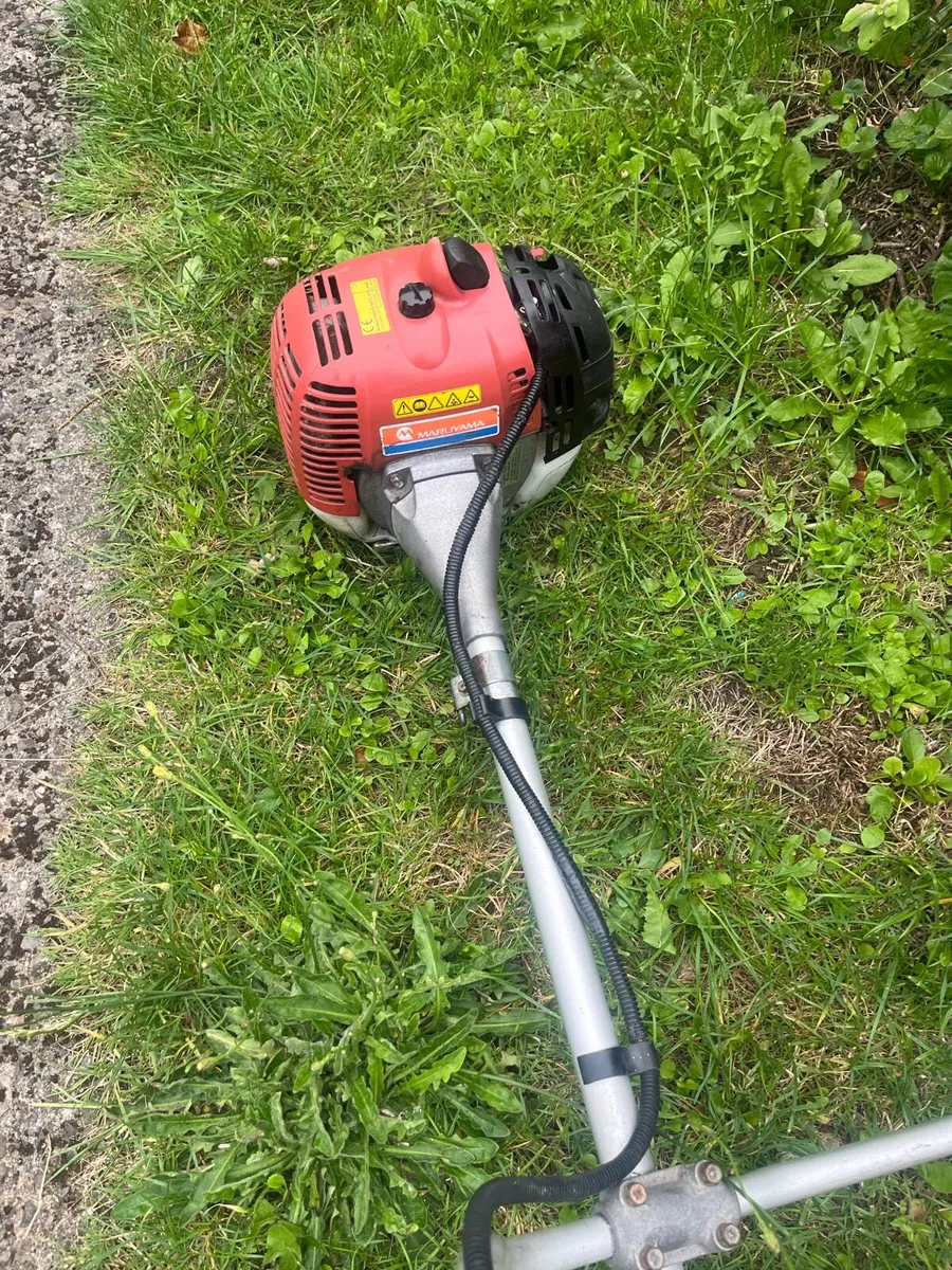 Strimmer - Image 1
