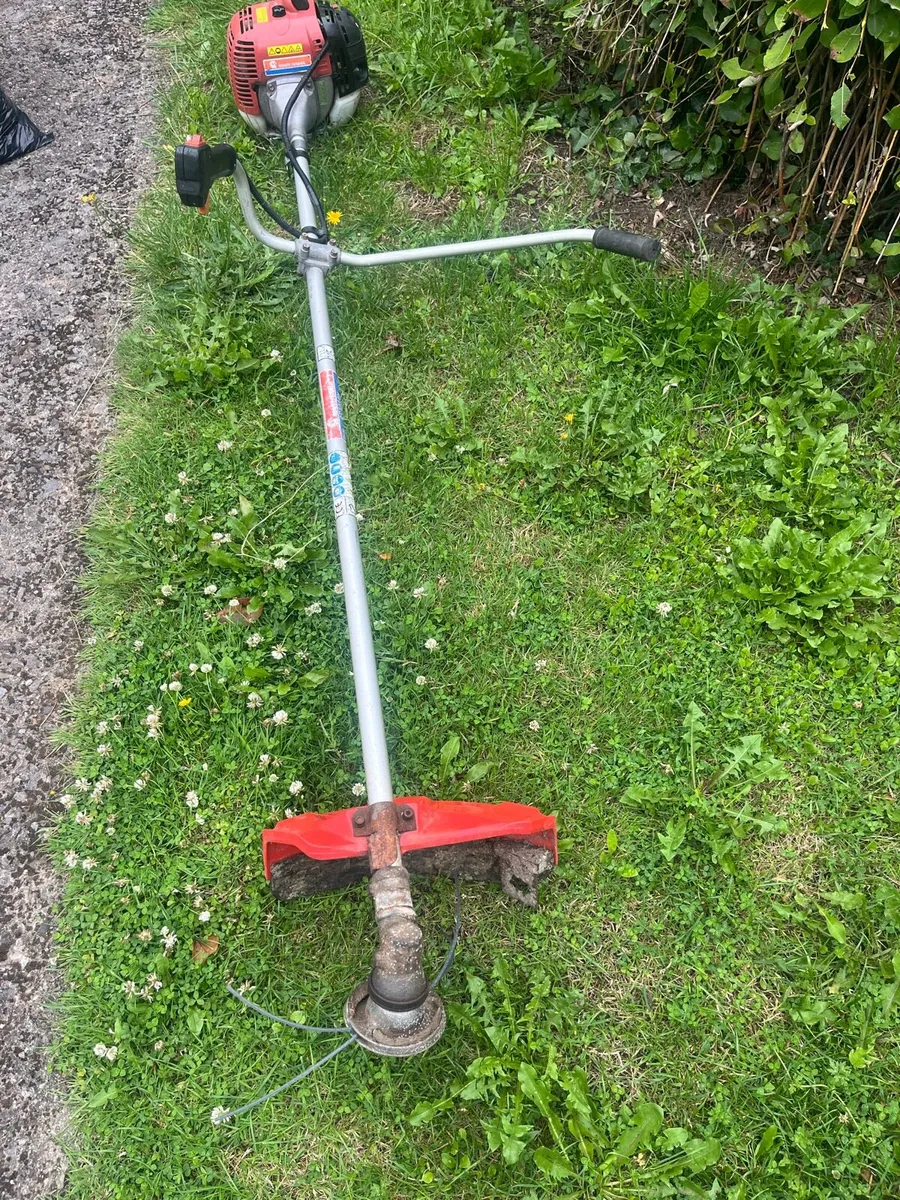 Strimmer - Image 2