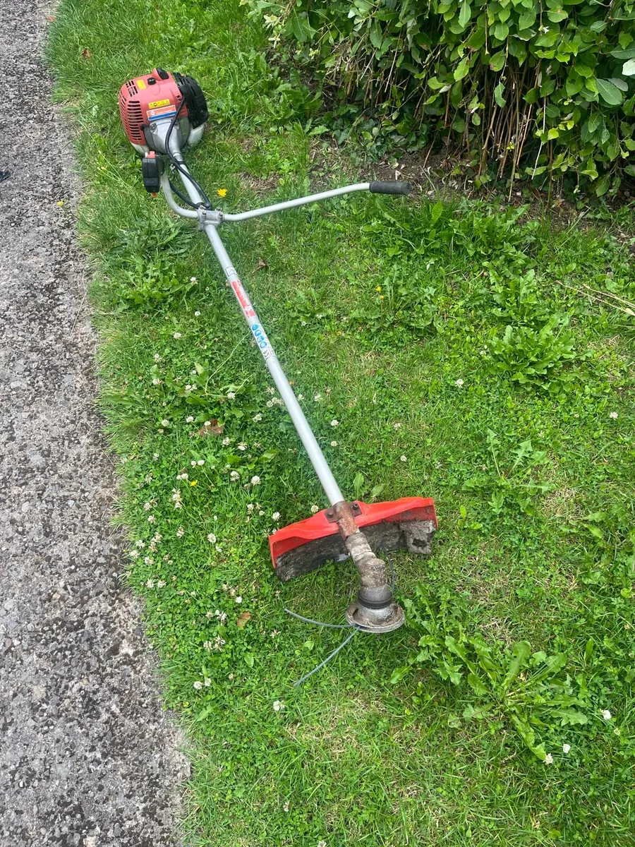 Strimmer - Image 3