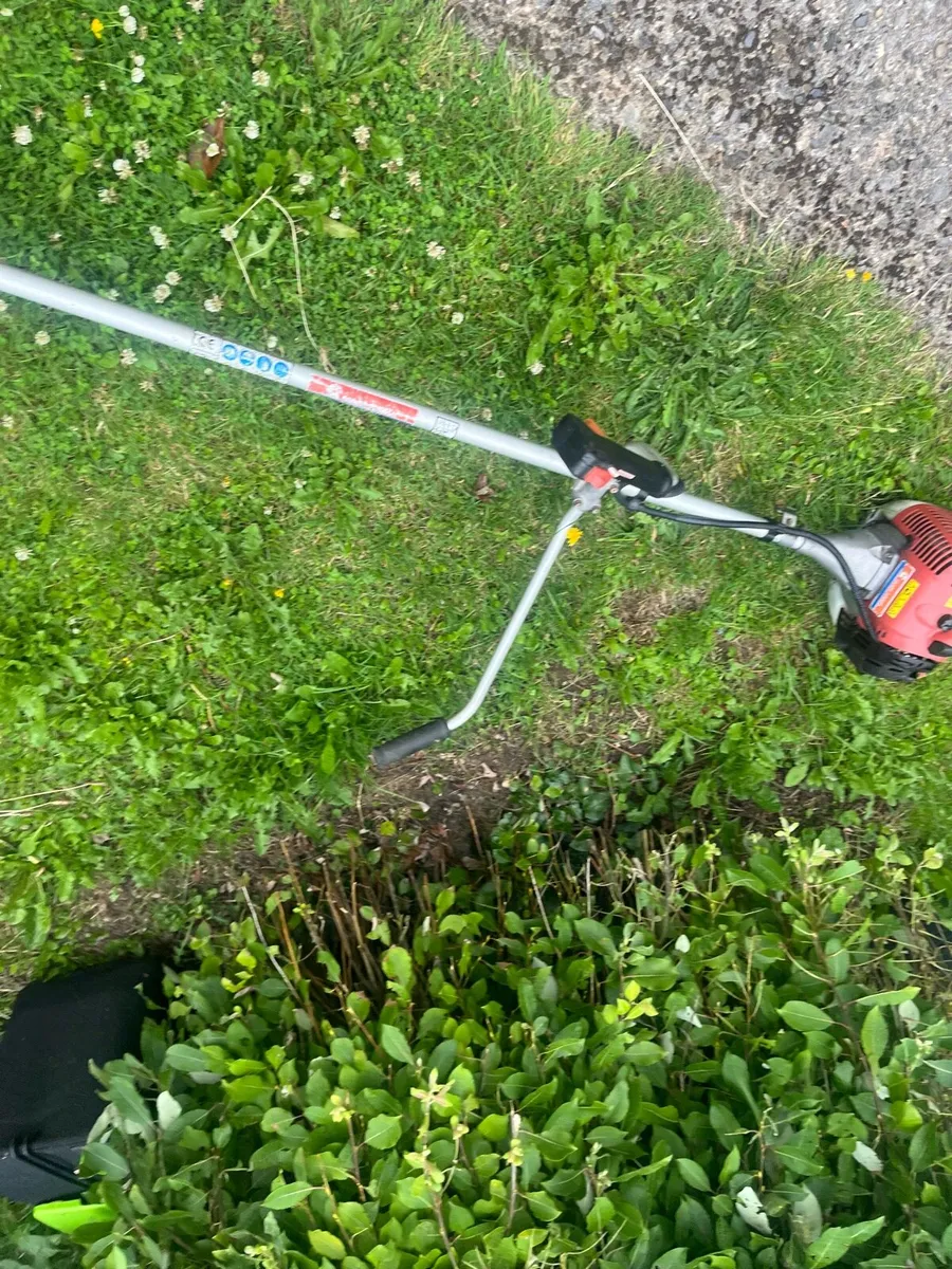Strimmer - Image 4