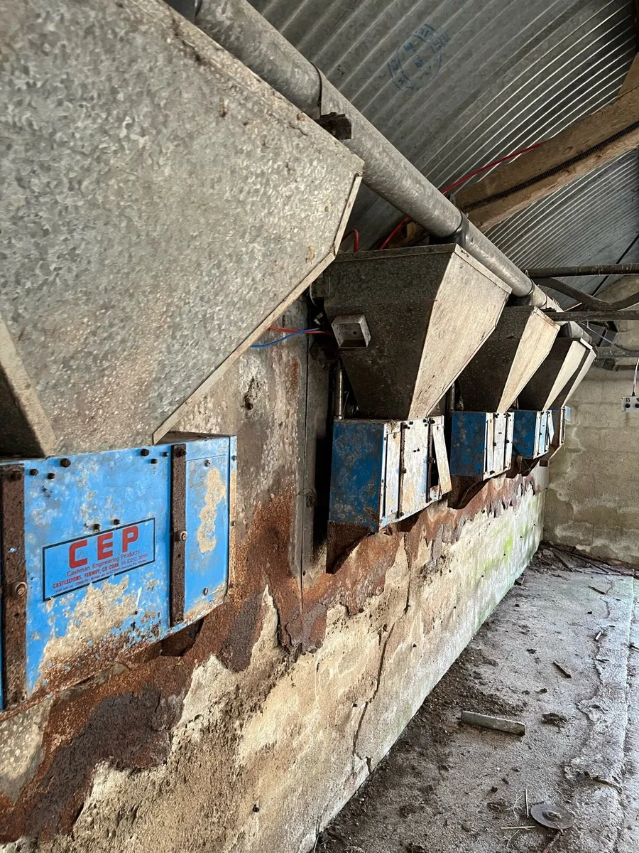 Cashman parlour feeders - Image 3