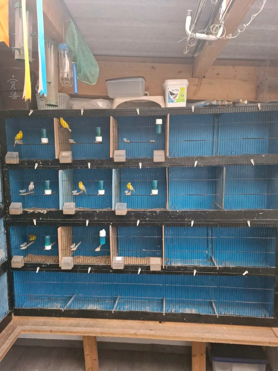 Cage's - Image 1
