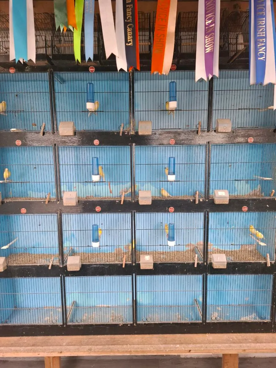 Cage's - Image 3