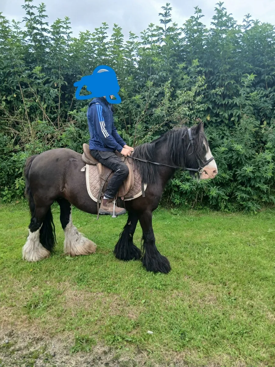 Children's Pony - Image 2