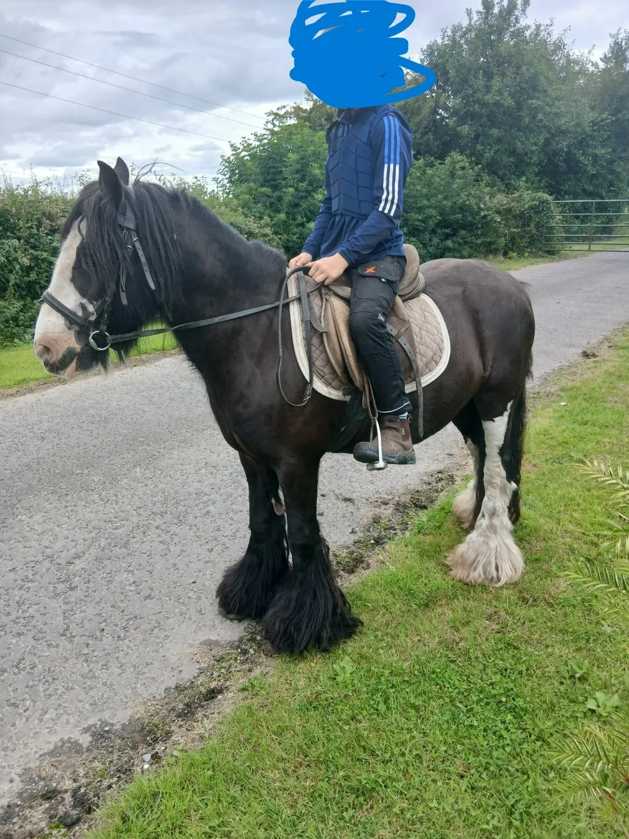 Children's Pony - Image 3