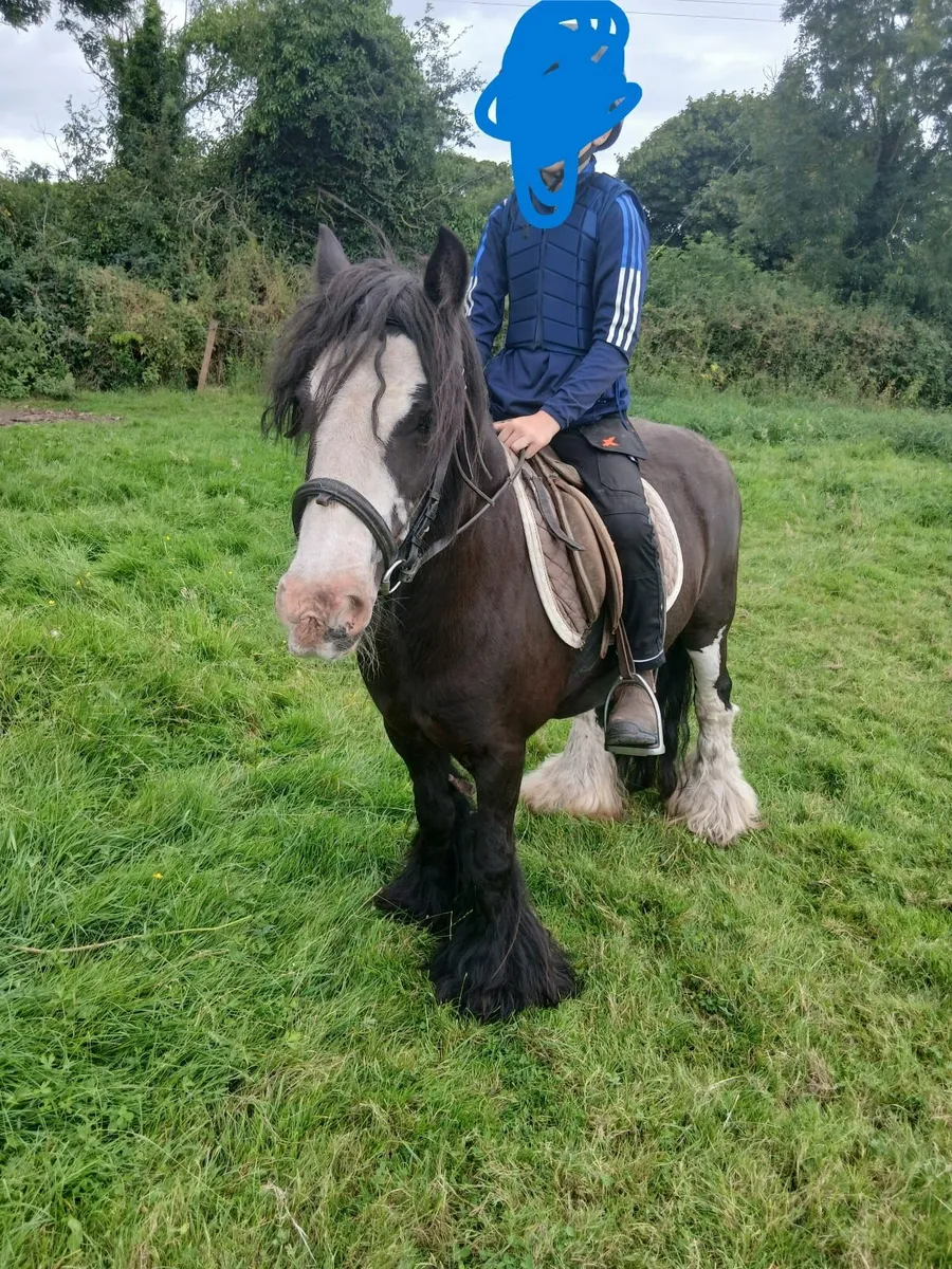 Children's Pony - Image 1