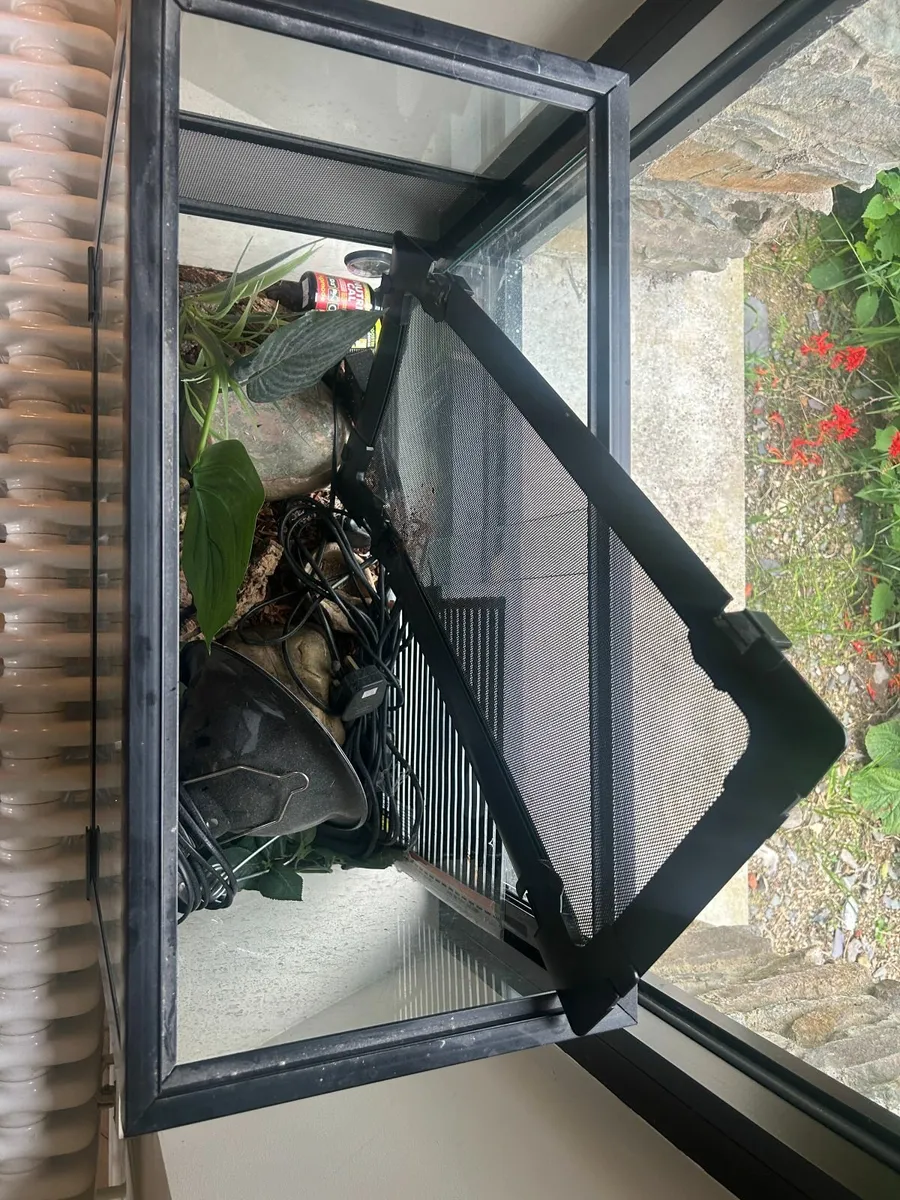 Reptile Tank - Medium Size - All Gear Incl - Image 2