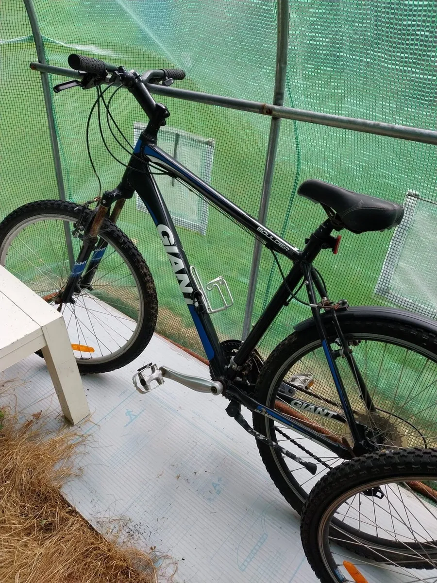 3 GIANT Bikes - Image 1