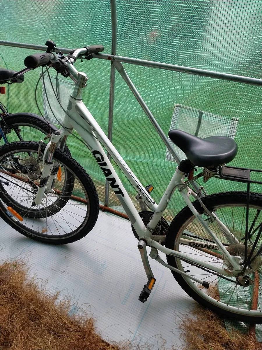 3 GIANT Bikes - Image 2