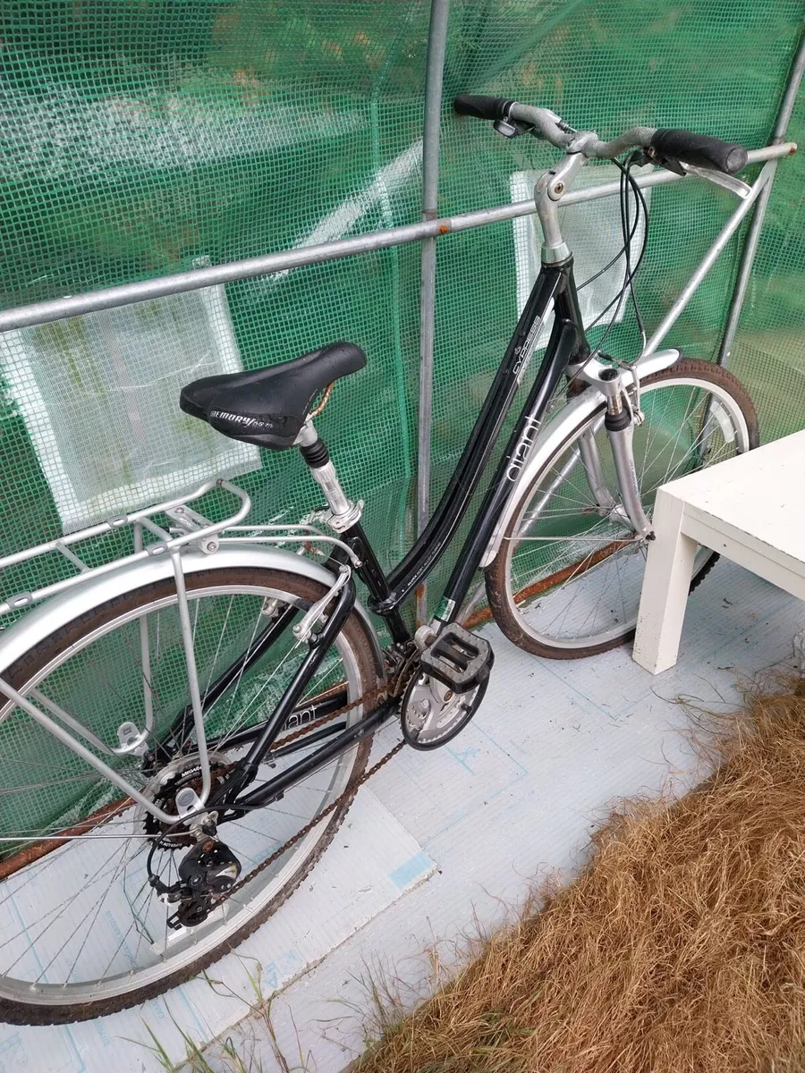 3 GIANT Bikes - Image 3