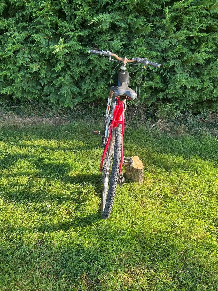 Engine bike - Image 3