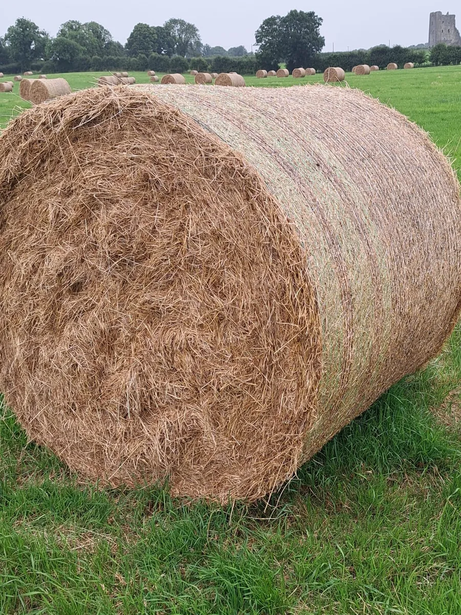 Old Meadow Hay - Image 1