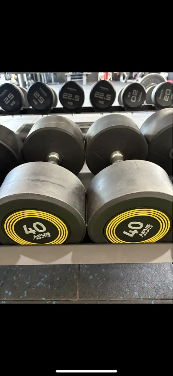 40kg Dumbell Pair - Image 1