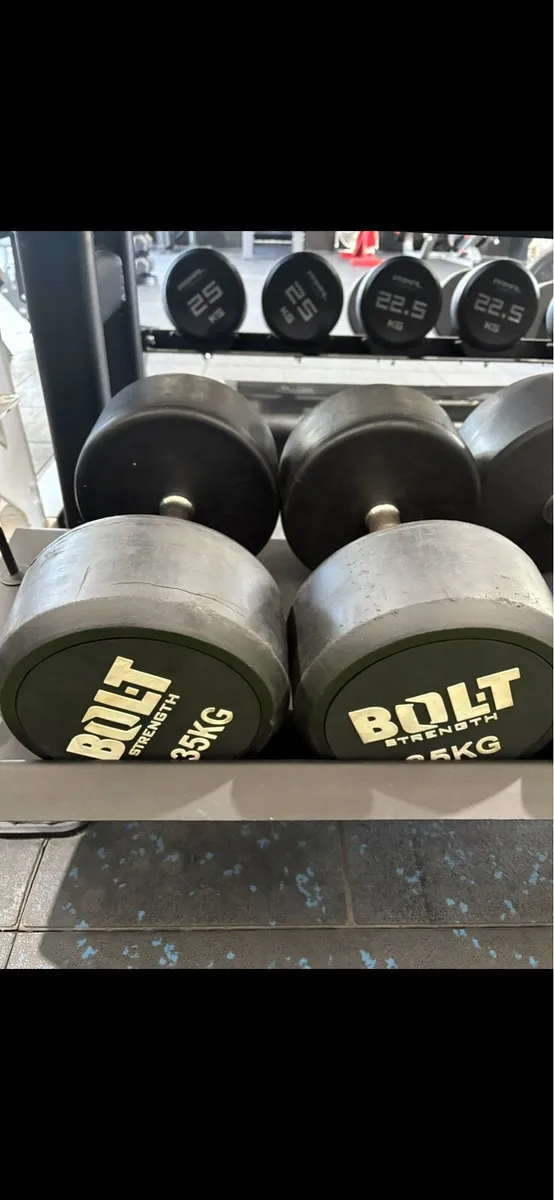35kg Dumbbell Pair - Image 1