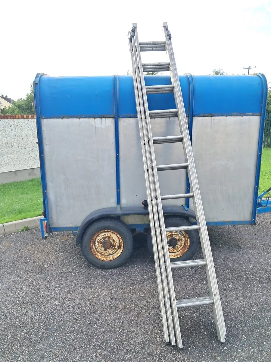 Ladders - Image 1