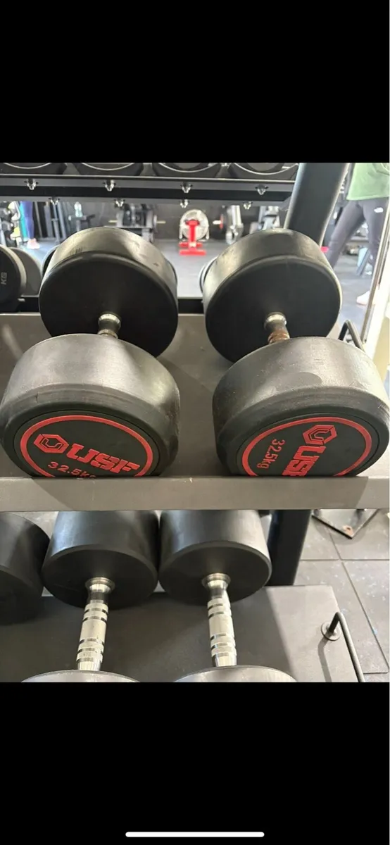 32.5kg Dumbell Pair - Image 1